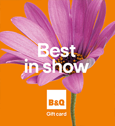 Best In Show Flowers